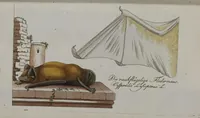 Picture 25 of 102 from (Band 2): Zweytes Hundert (1796), leaf 138