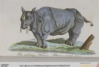 Picture 26 of 102 from (Band 2): Zweytes Hundert (1796), leaf 139
