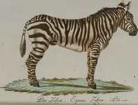 Picture 28 of 102 from (Band 2): Zweytes Hundert (1796), leaf 141
