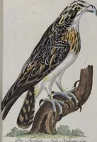 Picture 29 of 102 from (Band 2): Zweytes Hundert (1796), leaf 143