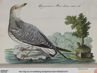 Picture 30 of 102 from (Band 2): Zweytes Hundert (1796), leaf 144
