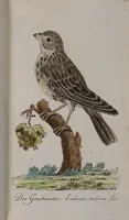 Picture 51 of 102 from (Band 2): Zweytes Hundert (1796), leaf 169