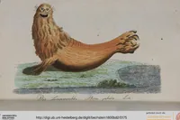 Picture 55 of 102 from (Band 2): Zweytes Hundert (1796), leaf 175