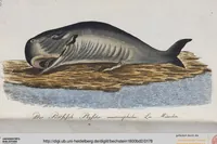 An illustration from (Band 2): Zweytes Hundert (1796)