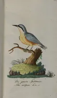 Picture 60 of 102 from (Band 2): Zweytes Hundert (1796), leaf 180