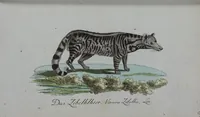 Picture 64 of 102 from (Band 2): Zweytes Hundert (1796), leaf 186