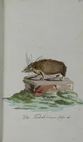 Picture 67 of 102 from (Band 2): Zweytes Hundert (1796), leaf 189