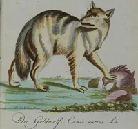 An illustration from (Band 2): Zweytes Hundert (1796)