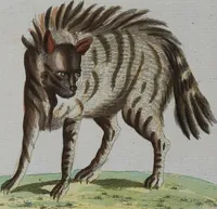 An illustration from (Band 2): Zweytes Hundert (1796)