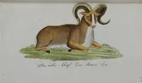 An illustration from (Band 2): Zweytes Hundert (1796)