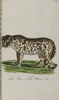 Picture 84 of 102 from (Band 2): Zweytes Hundert (1796), leaf 209