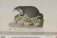 An illustration from (Band 2): Zweytes Hundert (1796)