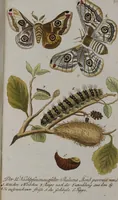 Picture 92 of 102 from (Band 2): Zweytes Hundert (1796), leaf 218