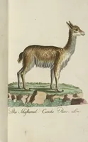 An illustration from (Band 3): Drittes Hundert oder III. Band (1802)