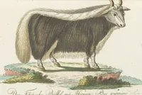 An illustration from (Band 3): Drittes Hundert oder III. Band (1802)