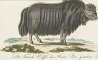 An illustration from (Band 3): Drittes Hundert oder III. Band (1802)