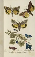 An illustration from (Band 3): Drittes Hundert oder III. Band (1802)