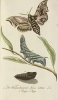 An illustration from (Band 3): Drittes Hundert oder III. Band (1802)