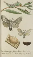 Picture 28 of 87 from (Band 3): Drittes Hundert oder III. Band (1802), leaf 131