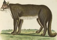 An illustration from (Band 3): Drittes Hundert oder III. Band (1802)