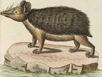 An illustration from (Band 3): Drittes Hundert oder III. Band (1802)