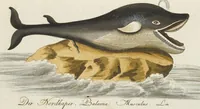 An illustration from (Band 3): Drittes Hundert oder III. Band (1802)