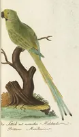 An illustration from (Band 3): Drittes Hundert oder III. Band (1802)