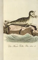 An illustration from (Band 3): Drittes Hundert oder III. Band (1802)