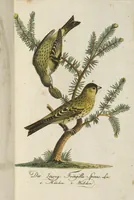 An illustration from (Band 3): Drittes Hundert oder III. Band (1802)