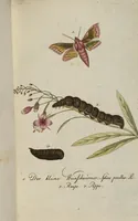 An illustration from (Band 3): Drittes Hundert oder III. Band (1802)
