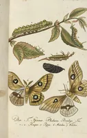 An illustration from (Band 3): Drittes Hundert oder III. Band (1802)