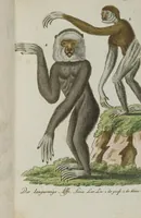 An illustration from (Band 3): Drittes Hundert oder III. Band (1802)
