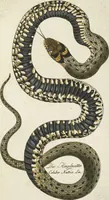 An illustration from (Band 3): Drittes Hundert oder III. Band (1802)