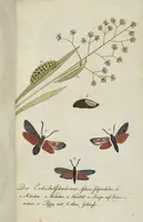 An illustration from (Band 3): Drittes Hundert oder III. Band (1802)