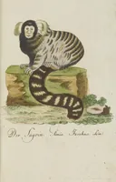 Picture 62 of 87 from (Band 3): Drittes Hundert oder III. Band (1802), leaf 172