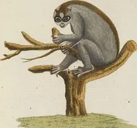 Picture 72 of 87 from (Band 3): Drittes Hundert oder III. Band (1802), leaf 183