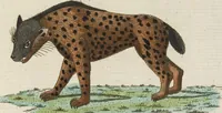 An illustration from (Band 3): Drittes Hundert oder III. Band (1802)