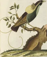 An illustration from (Band 3): Drittes Hundert oder III. Band (1802)