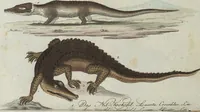 An illustration from (Band 4): Viertes Hundert (1802)