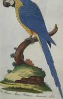 An illustration from (Band 4): Viertes Hundert (1802)