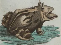 An illustration from (Band 4): Viertes Hundert (1802)