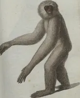 An illustration from (Band 4): Viertes Hundert (1802)