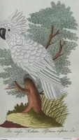 An illustration from (Band 4): Viertes Hundert (1802)