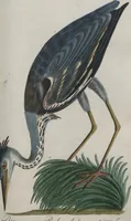 An illustration from (Band 4): Viertes Hundert (1802)