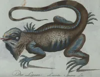 An illustration from (Band 4): Viertes Hundert (1802)