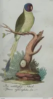 An illustration from (Band 4): Viertes Hundert (1802)