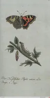 An illustration from (Band 4): Viertes Hundert (1802)