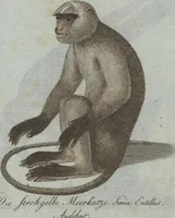 An illustration from (Band 4): Viertes Hundert (1802)
