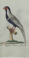 An illustration from (Band 4): Viertes Hundert (1802)