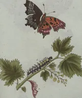 An illustration from (Band 4): Viertes Hundert (1802)